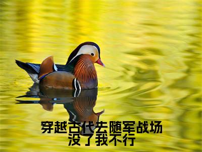 穿越古代去随军战场没了我不行（黎青姝秦铮）全文免费阅读无弹窗大结局_穿越古代去随军战场没了我不行全文免费阅读最新章节列表_笔趣阁