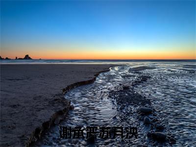 苏月泱谢承严（谢承严苏月泱）免费阅读无弹窗大结局_（谢承严苏月泱）苏月泱谢承严最新章节列表_笔趣阁