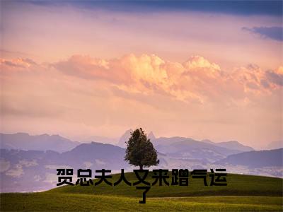（ 姜糖贺忱)全文免费阅读无弹窗大结局_贺总夫人又来蹭气运了完整版最新阅读_笔趣阁（ 姜糖贺忱）