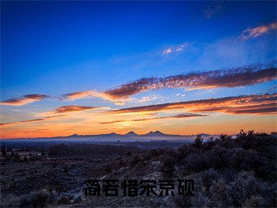 简若惜宋京砚小说全文免费阅读简若惜宋京砚免费完整版阅读