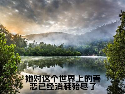 傅明然沈意书小说全文免费阅读大结局-她对这个世界上的眷恋已经消耗殆尽了最新章节列表免费阅读