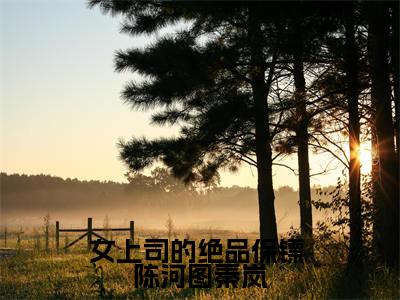 女上司的绝品保镖（ 陈河图秦岚）多人推荐- 陈河图秦岚女上司的绝品保镖好看的小说完整版全文