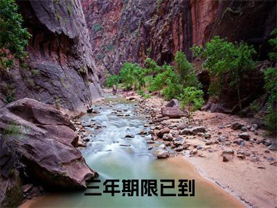 三年期限已到，他一剑重振族风！全文免费在线阅读_ 苏铭渊天焱全文免费阅读无弹窗大结局