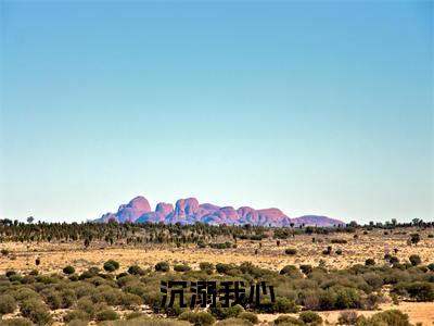 沉溺我心小说（肖映雪沈翎天）全文免费阅读无弹窗大结局_（沉溺我心）肖映雪沈翎天最新章节列表