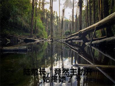 沈南央陆京衡（陆营长，竟然主动开始疼她了）全文免费阅读大结局-沈南央陆京衡最新章节列表笔趣阁