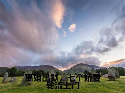 离婚出狱，七个娇妻轮流上门小说全文免费阅读无弹窗大结局_离婚出狱，七个娇妻轮流上门最新章节列表_笔趣阁