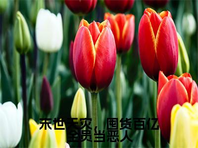 末世天灾，囤货百亿全员当恶人小说全文免费阅读无弹窗大结局_祝夏最新章节列表_笔趣阁