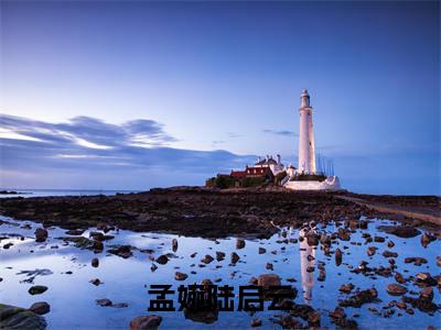 孟婉陆启云（孟婉陆启云）全文免费阅读无弹窗大结局_孟婉陆启云（孟婉陆启云无弹窗）_笔趣阁