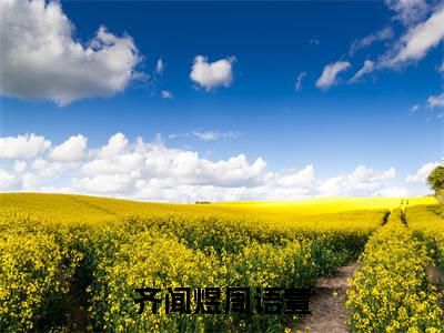 周语萱齐闻煜（齐闻煜周语萱）全文阅读完整版_周语萱齐闻煜（齐闻煜周语萱）小说免费阅读大结局无删减