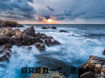 你只能救一个，选谁全网热搜（姜瓷周温宴）是什么小说,你只能救一个，选谁免费阅读无弹窗