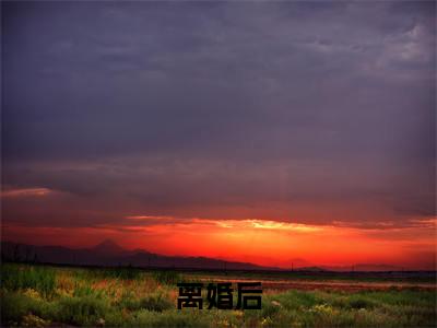 离婚后，老公天天跪求复合全文免费阅读无弹窗, 林语熙周晏京小说最新章节列表无删减_笔趣阁