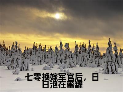桑悦宋境最新完结免费阅读-七零换嫁军官后，日日泡在蜜罐悬疑小说在线阅读