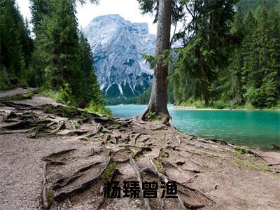曾渔杨臻免费阅读（杨臻曾渔）全文免费阅读无弹窗大结局_曾渔杨臻免费阅读最新章节列表