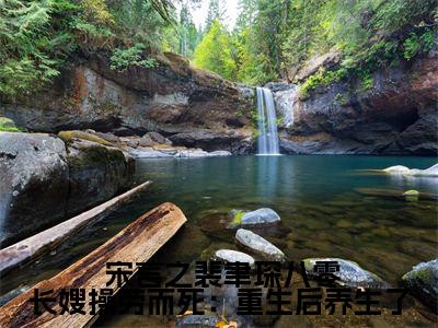  宋言之裴聿琛（八零长嫂操劳而死：重生后养生了）小说结局- 宋言之裴聿琛全文无弹窗阅读