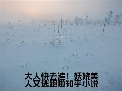 大人快去追！妖娆美人又逃跑啦 昭华张怀安小说结局-大人快去追！妖娆美人又逃跑啦全文无弹窗阅读