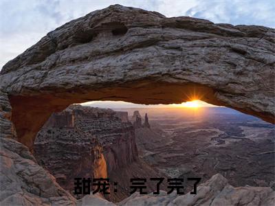 甜宠：完了完了，她坠入爱河了精选热门好书-甜宠：完了完了，她坠入爱河了（ 宋之意谢庭言）全文无删减版在线阅读
