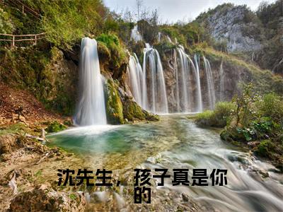 沈蔓沈知遇免费小说（沈先生，孩子真是你的）全文无弹窗阅读 沈蔓沈知遇大结局免费阅读无弹窗