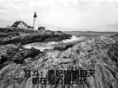 宋如澈（宫斗：贵妃娘娘每天都在努力回现代）全文免费阅读无弹窗大结局_（宋如澈）宫斗：贵妃娘娘每天都在努力回现代最新章节列表