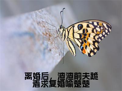 喻楚楚沈牧谦离婚后，渣渣前夫跪着求复婚喻楚楚全文阅读 喻楚楚沈牧谦免费阅读无弹窗