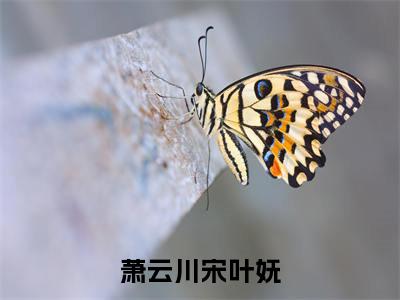 宋叶妩萧云川（萧云川宋叶妩）全文免费阅读无弹窗大结局萧云川宋叶妩（宋叶妩萧云川）