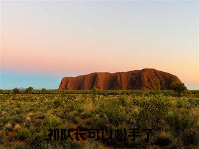 祁队长可以松手了(苏韵祁征）小说全文免费读无弹窗大结局_祁队长可以松手了小说全文免费阅读最新章节列表笔趣阁（苏韵祁征）