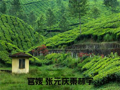 官嫂（ 张元庆秦林宇）全文免费阅读无弹窗_（ 张元庆秦林宇小说全文免费阅读）官嫂最新章节列表笔趣阁