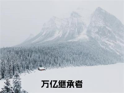 无广告小说万亿继承者全文免费阅读无弹窗大结局-陈岩川在线阅读