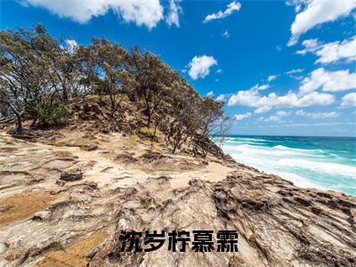 沈岁柠慕霖（沈岁柠慕霖）全文免费阅读无弹窗大结局_（沈岁柠慕霖无弹窗）_笔趣阁