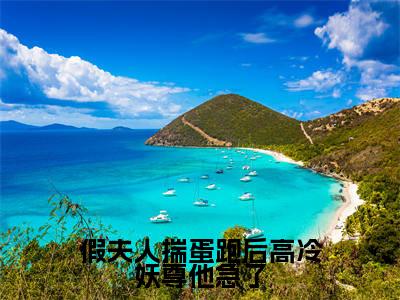 玄霖茯月全文（假夫人揣蛋跑后高冷妖尊他急了小说）全文免费阅读无弹窗大结局_假夫人揣蛋跑后高冷妖尊他急了免费最新章节列表