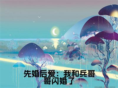全章节完整《先婚后爱：我和兵哥哥闪婚了》全文阅读《 林知夏李辞》