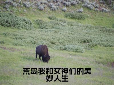 荒岛我和女神们的美妙人生抖音热推小说全集无删减林天最新章节列表免费阅读_（荒岛我和女神们的美妙人生）最新章节列表笔趣阁