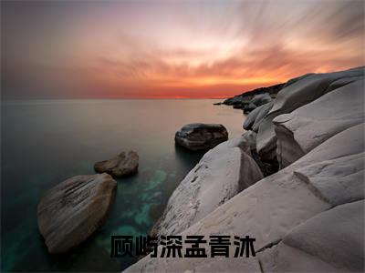 顾屿深孟青沐小说（孟青沐顾屿深）全文免费阅读无弹窗大结局_(孟青沐顾屿深免费阅读)最新章节列表_笔趣阁（孟青沐顾屿深）