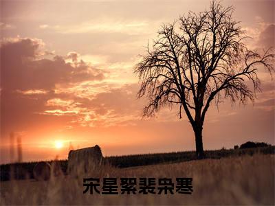 宋星絮裴枭寒小说（裴枭寒宋星絮）全文免费阅读无弹窗大结局_宋星絮裴枭寒小说最新章节列表_笔趣阁