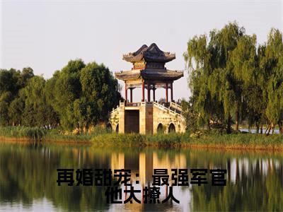  温霖沐绾绾全文免费大结局-再婚甜宠：最强军官他太撩人结局在线阅读