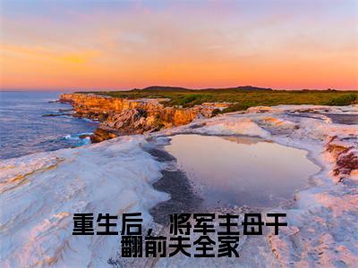 苏荇禾（重生后，将军主母干翻前夫全家）小说免费阅读_苏荇禾精选小说全文阅读（重生后，将军主母干翻前夫全家）