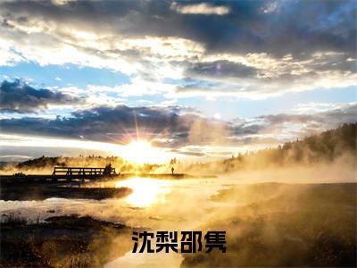 沈梨邵隽（邵隽沈梨）全文免费阅读无弹窗大结局_（沈梨邵隽）最新章节列表_笔趣阁（邵隽沈梨）