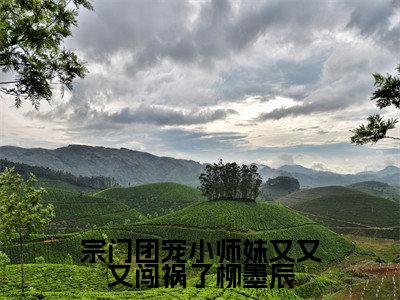 宗门团宠小师妹又又又闯祸了柳墨辰最新章节（莫桃殇柳墨辰）全文免费阅读无弹窗大结局_莫桃殇柳墨辰免费阅读