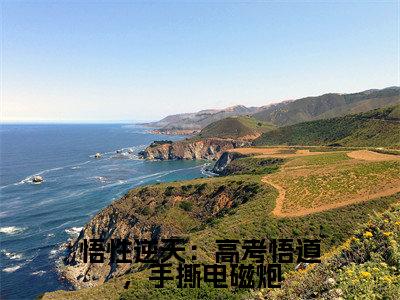 苏勤小说全文免费阅读大结局-悟性逆天：高考悟道，手撕电磁炮最新章节列表免费阅读