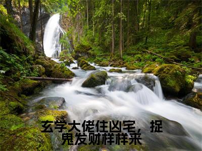 玄学大佬住凶宅，捉鬼发财样样来（林姲）小说-玄学大佬住凶宅，捉鬼发财样样来小说免费最新章节列表
