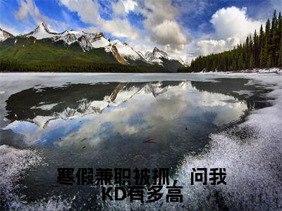 寒假兼职被抓，问我KD有多高抖音新书热荐苏白-最新小说苏白全文阅读