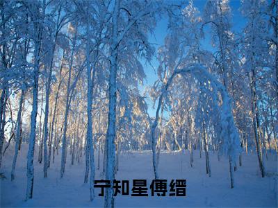 宁知星傅缙全文免费阅读无弹窗大结局_(宁知星傅缙)最新章节列表笔趣阁（宁知星傅缙）