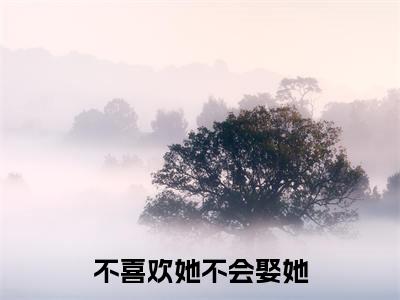 不喜欢她不会娶她小说全文免费阅读无弹窗大结局_不喜欢她不会娶她最新章节列表_笔趣阁