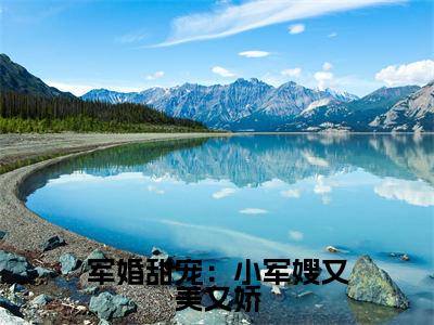  叶沐栖容景辰（军婚甜宠：小军嫂又美又娇）全文阅读完整版_ 叶沐栖容景辰（军婚甜宠：小军嫂又美又娇）小说免费阅读大结局无删减