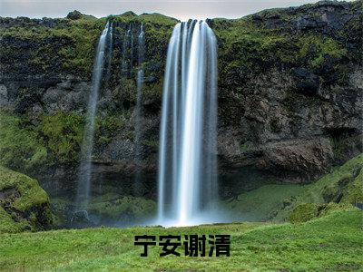 谢清宁安全文免费阅读大结局宁安谢清最新章节列表