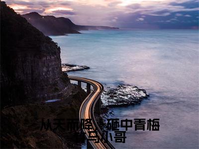 张玥多人推荐-好看的小说从天而降，砸中青梅竹马小哥完整版免费阅读