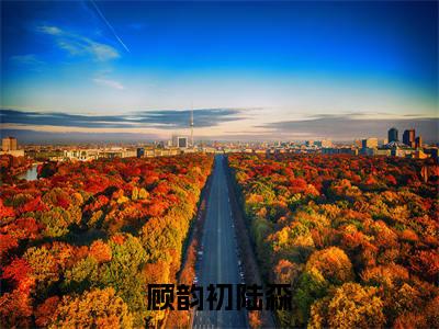 顾韵初陆森（顾韵初陆森）全文免费阅读无弹窗_顾韵初陆森最新小说_笔趣阁