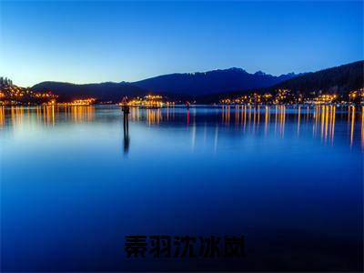  秦羽沈冰岚全文免费阅读无弹窗大结局_（我，异姓亲王，纨绔一点怎么了阅读全文大结局） 秦羽沈冰岚最新章节列表（我，异姓亲王，纨绔一点怎么了）