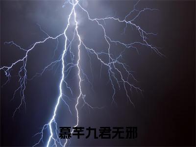 小说慕芊九君无邪全文免费阅读无弹窗_（慕芊九君无邪完结）慕芊九君无邪小说免费阅读无弹窗最新章节列表