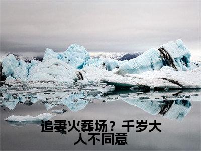 追妻火葬场？千岁大人不同意（叶晚棠裴渡）小说小说全集叶晚棠裴渡无删减在线阅读