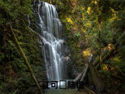 江可婳陆愠（陆愠江可婳小说）小说全文免费阅读_陆愠江可婳小说下载_最新章节列表笔趣阁（江可婳陆愠）